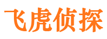 桓台调查公司